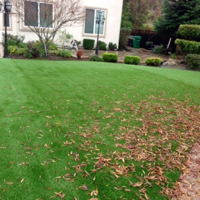 Artificial Turf in Clay Springs, Arizona