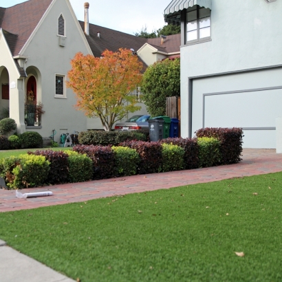 Artificial Turf in Patagonia, Arizona