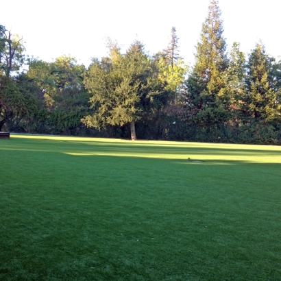 Backyard Putting Greens & Synthetic Lawn in Tucson, Arizona