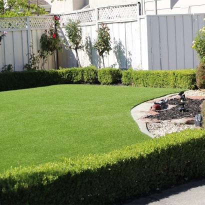 Artificial Grass in Top-of-the-World, Arizona