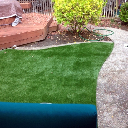 Fake Grass, Synthetic Lawns & Putting Greens in Cibola, Arizona