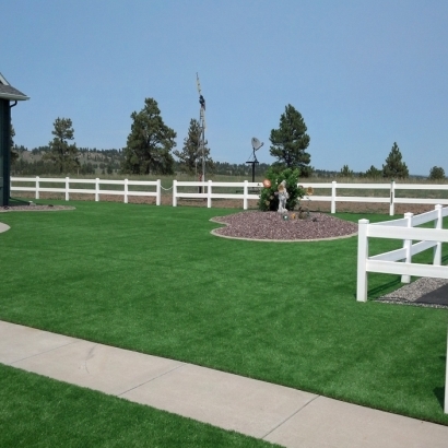 Artificial Turf in Franklin, Arizona