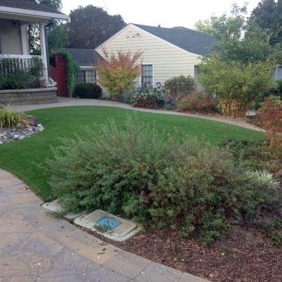 Synthetic Turf in Joseph City, Arizona