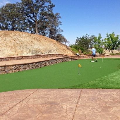 Fake Grass & Putting Greens in Low Mountain, Arizona