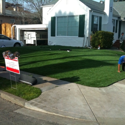 Synthetic Grass in Maish Vaya, Arizona