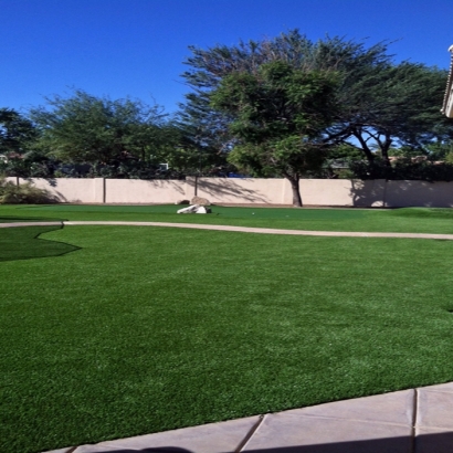 Synthetic Grass in Mammoth, Arizona