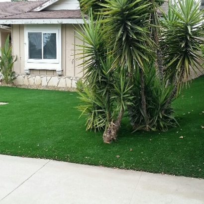 Artificial Turf in Maricopa, Arizona