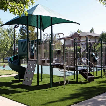 Artificial Turf in Oracle, Arizona