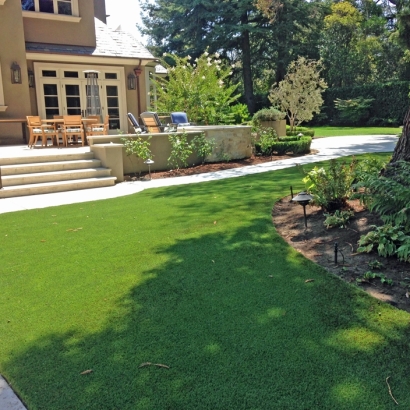 Artificial Grass in Whiteriver, Arizona