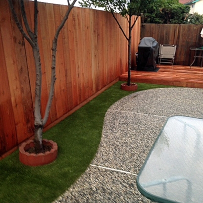 Artificial Grass in Apache County, Arizona