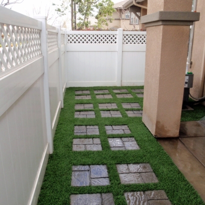 Artificial Turf in Oak Springs, Arizona