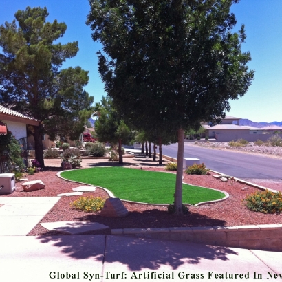 Outdoor Carpet Paradise Valley, Arizona Design Ideas, Landscaping Ideas For Front Yard