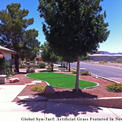 Artificial Turf in Scottsdale, Arizona