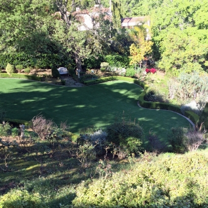 Synthetic Grass in Queen Creek, Arizona