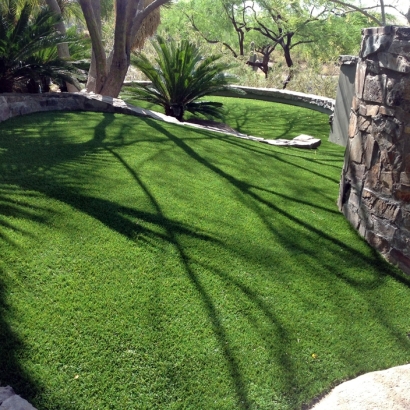 Artificial Turf in Santa Rosa, Arizona