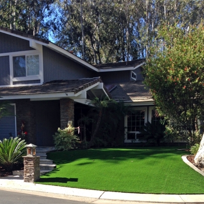 Fake Grass in Sunizona, Arizona