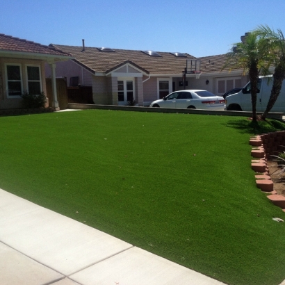 Synthetic Grass in Tacna, Arizona