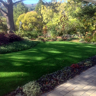 Synthetic Turf in Chiawuli Tak, Arizona