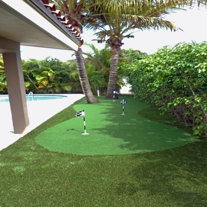 Plastic Grass Cibola, Arizona Garden Ideas, Backyard Garden Ideas