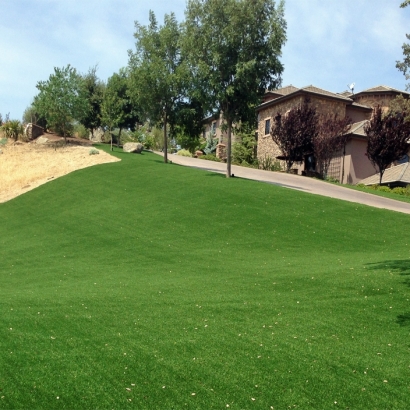 Fake Turf Grass in South Tucson, Arizona