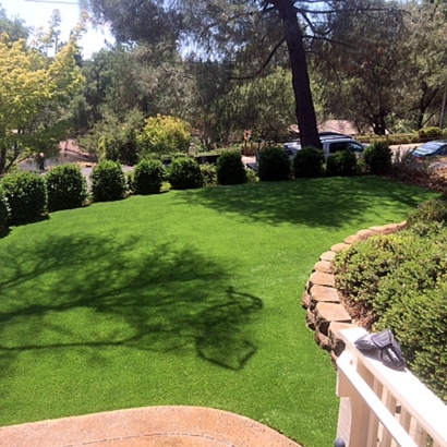 Synthetic Grass Cowlic, Arizona