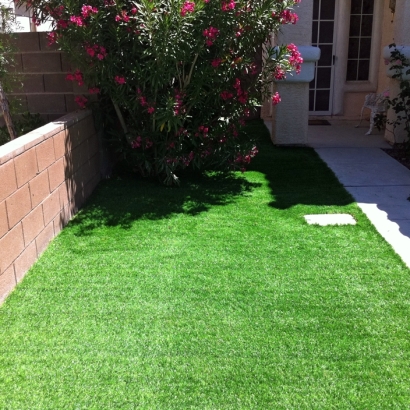 Artificial Turf in Hackberry, Arizona