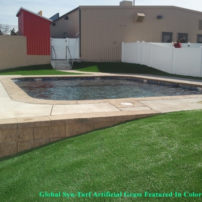 Plastic Grass Litchfield Park, Arizona Roof Top, Above Ground Swimming Pool