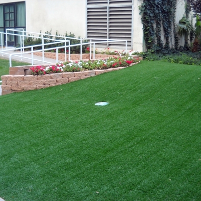 Plastic Grass Mescal, Arizona Indoor Putting Green, Front Yard