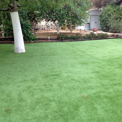 Artificial Turf in Scottsdale, Arizona