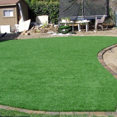 Synthetic Turf Depot in Seba Dalkai, Arizona