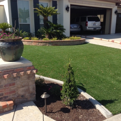 Artificial Grass in Spring Valley, Arizona