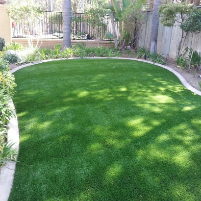 Synthetic Turf in Stanfield, Arizona