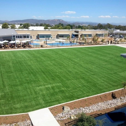 Plastic Grass Vernon, Arizona Softball, Commercial Landscape