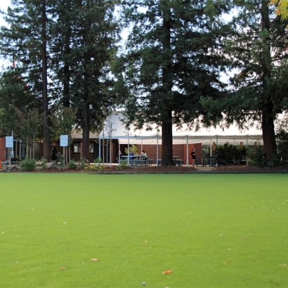 Synthetic Grass in Cactus Flat, Arizona