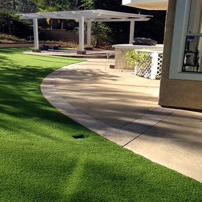 Synthetic Grass Catalina Foothills, Arizona Rooftop, Front Yard Ideas