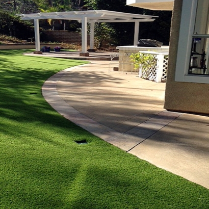 Artificial Grass in Tanque Verde, Arizona