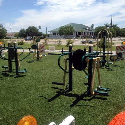 Artificial Grass in Cornfields, Arizona