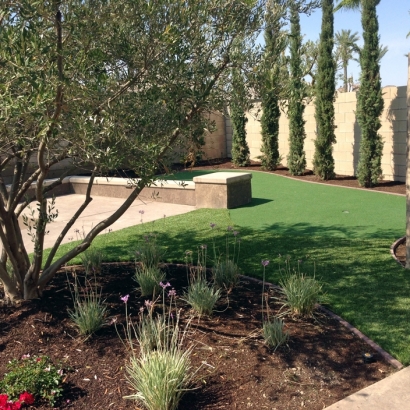 Synthetic Grass in Catalina, Arizona