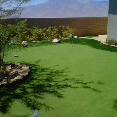 Artificial Grass in Chloride, Arizona