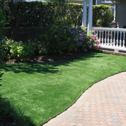 Fake Grass & Synthetic Putting Greens in Cutter, Arizona