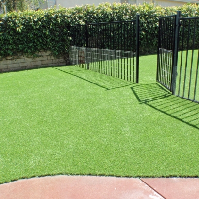 Artificial Grass in Cochise County, Arizona