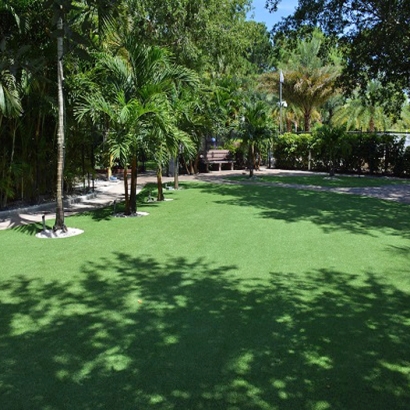 Artificial Turf in Pisinemo, Arizona