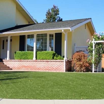 Synthetic Grass Cost Rock Point, Arizona Rooftop, Front Yard Design