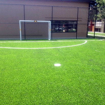 Artificial Grass in Sahuarita, Arizona