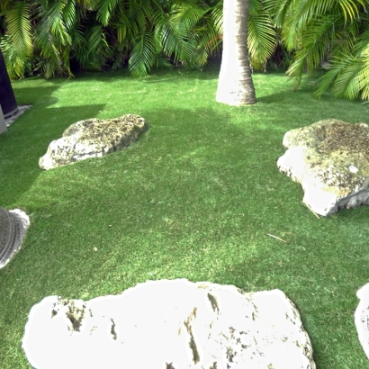 Synthetic Grass in Queen Creek, Arizona