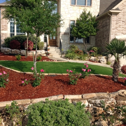 Artificial Grass in Spring Valley, Arizona