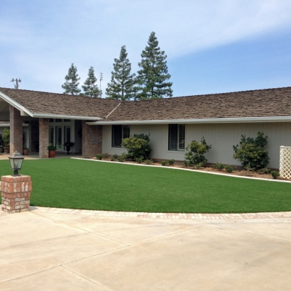 Artificial Turf in Utting, Arizona