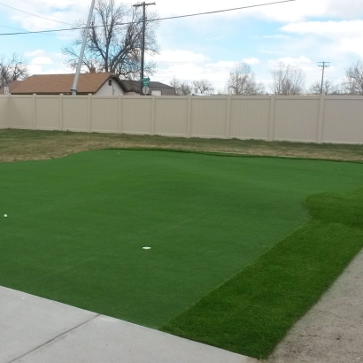 Synthetic Grass Cost Wittmann, Arizona Diy Putting Green, Backyards