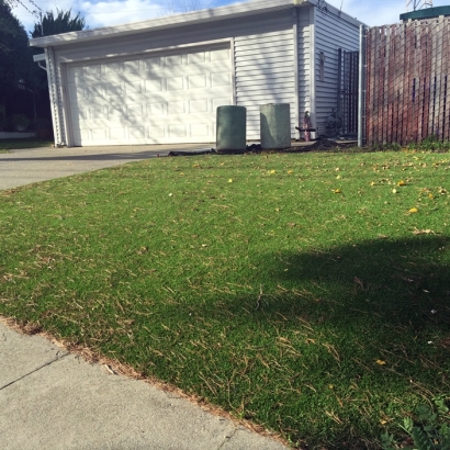 At Home Putting Greens & Synthetic Grass in Chinle, Arizona