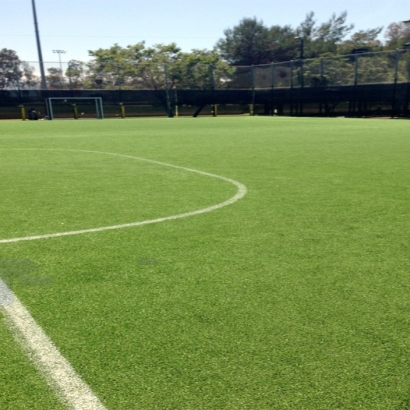 Synthetic Grass in Maish Vaya, Arizona